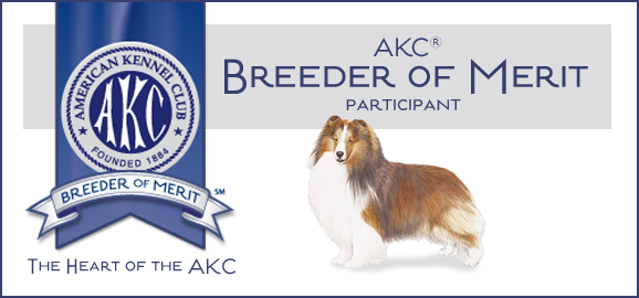 ShetlandSheepdog_BoM_Banner